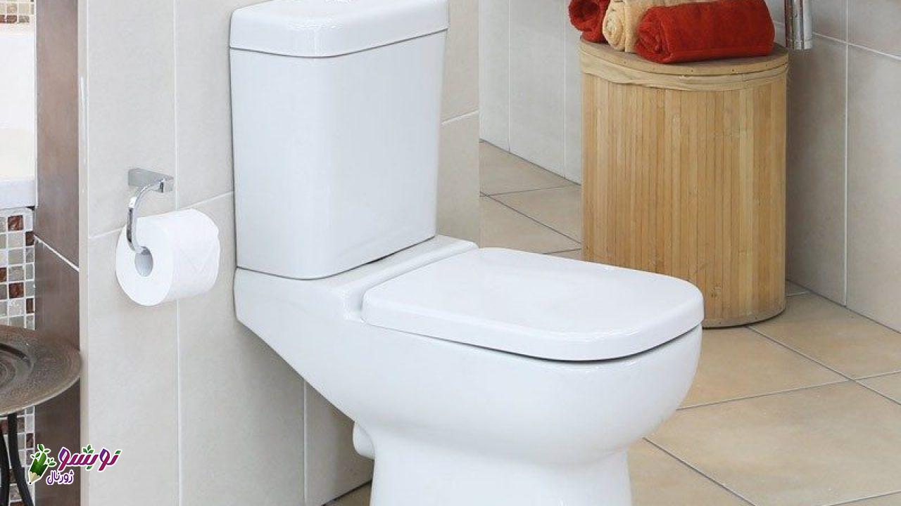 توالت فرنگی ایساتیس در ژورنال نوبشو